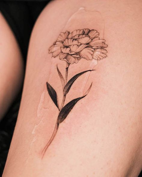 Black And White Carnation Tattoo, Fine Tattoos For Women, Carnations Tattoo, January Birth Flower Tattoo, Honeysuckle Tattoo, Carnation Flower Tattoo, Gladiolus Tattoo, Marigold Tattoo, January Birth Flower