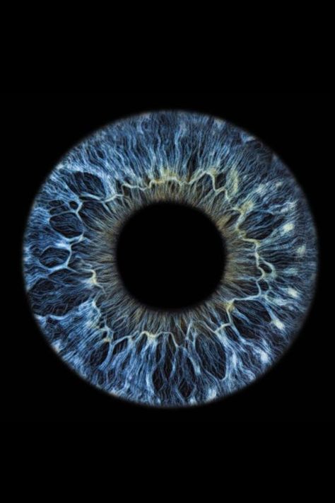 Eyeball Close Up, Eye Iris Photography, Iris Eye Photography, Eyes Close Up, Iris Photography Eye, Blue Iris Eye, Eyes Up Close, Meditation Yoga Poses, Close Up Eye