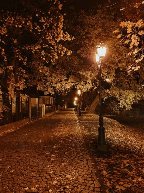 Rainy Autumn Night Aesthetic, Autumn Night Aesthetic, Night Fall Aesthetic, Street Lights Aesthetic, Fall Night Aesthetic, Fall At Night, Night Autumn, Autumn City, Halloween Street