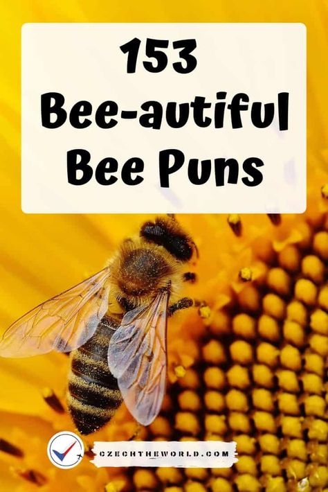 ▷ 153 Best Bee Puns That Are Un-bee-lievably Bee-autiful! Bee Theme Ideas, Honey Bee Sayings, Bee Quotes Funny, Bee Quotes Wisdom, Bee Jokes Funny, Drawings Of Bees, Honey Bee Quotes, Bee Quotes Inspiration, Bee Sayings Quotes