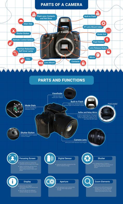 Parts of a Camera | 42West, the Adorama Learning Center Camera Infographic, Camera Diagram, Parts Of A Camera, Technology Photography, Camera Basics, Kamera Dslr, Manual Photography, Best Dslr, Camera Parts