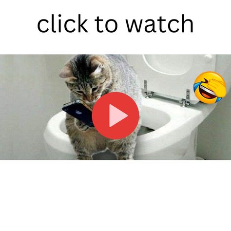 Check out more Pets Awesome videos brings you funny cat and dog videos but also the funniest videos from the wild!! Funny Cat Videos Hilarious, Cute Cat Videos Funny, Funny Pets Videos, Funny Animal Videos Can't Stop Laughing, Funny Cat Videos Can't Stop Laughing, Try Not To Laugh Animals, Cat Videos Hilarious, Funny Dog And Cat Videos, Silly Cats Videos