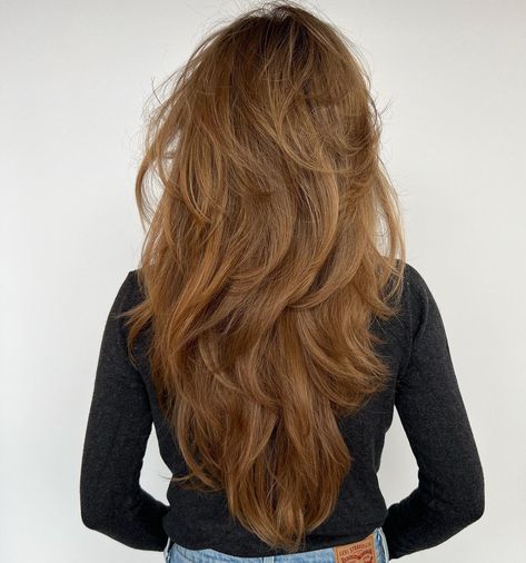 Long Super Layered Hair, Layered Front Long Hair, Long Layered Textured Hair, Long Hair With Layers Back View, Haircut Thick Long Hair, Laired Haircuts, Super Layered Hair Long, Long Layed Hairstyles, Long Layered Hair From The Back