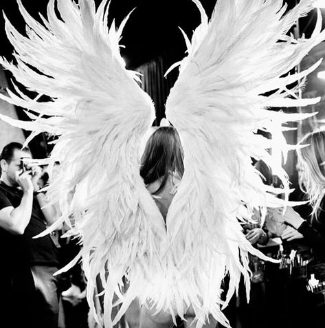 Victoria Secret Wings, Mode Gossip Girl, Victoria's Secret Aesthetic, Gizele Oliveira, Estilo Hippy, Vs Models, Vs Angels, Victoria's Secret Angel, Angel Aesthetic