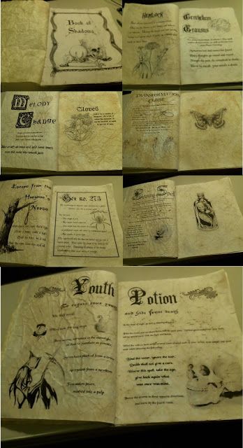 The Pumpkin Carver: Potion Book Project--Assembly Potion Book, Class Aesthetic, Hogwarts Classes, Harry Potter Activities, Potions Book, Pumpkin Carver, Witch Potion, Map Making, Cookbook Holder