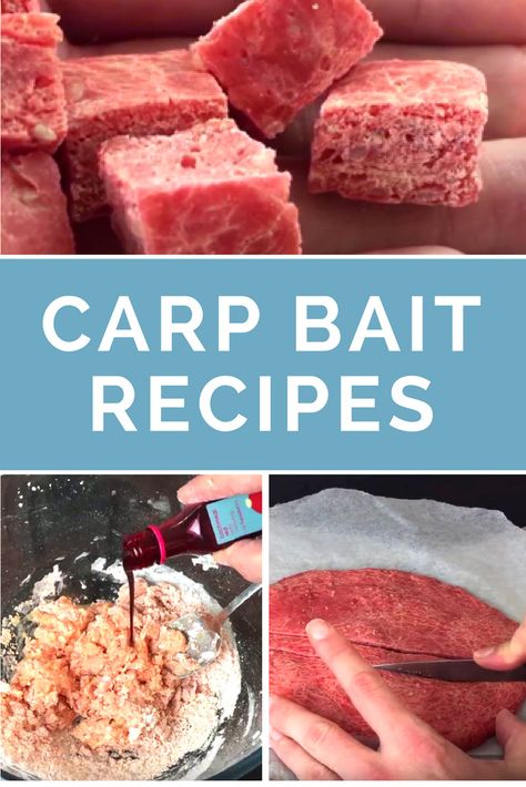 Homemade Carp Bait Recipes Carp Fishing Tips, Carp Fishing Rigs, Carp Fishing Bait, Bass Fishing Tips, Fishing Rigs, Fishing Techniques, Fishing Quotes, Fishing Knots, Trout Fishing