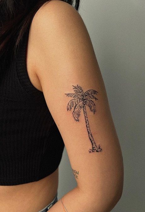 Palm Tree Tattoo Arm Women, Palm Tree Rib Tattoo, Palm Tree Stamp Tattoo, Palm Tree Back Tattoo, Florida Palm Tree Tattoo, Coconut Palm Tree Tattoo, Hip Fine Line Tattoo, Small Palm Tattoo, Palmetto Tree Tattoo