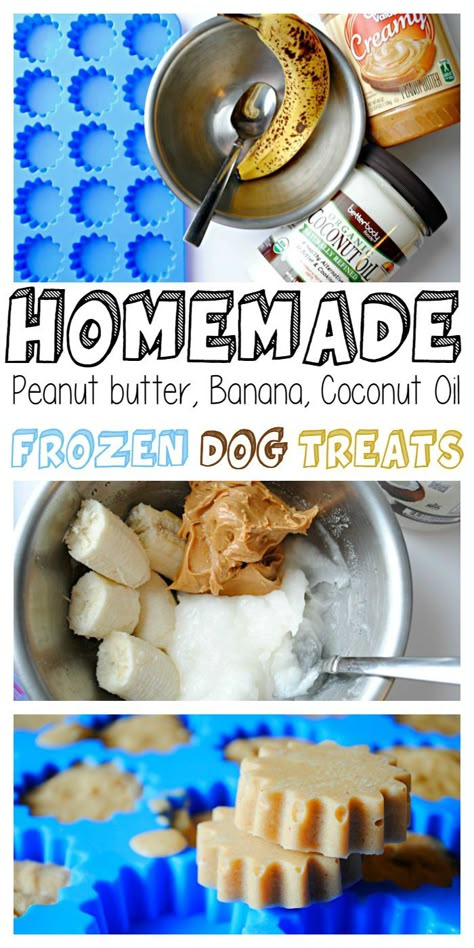 Homemade Peanut Butter Banana Coconut Oil Frozen Dog Treats Pet Recipes, Frozen Dog Treats, Coconut Oil For Dogs, Doggy Treats, Mask Recipes, Easy Dog Treats, Healthy Dog Treats Homemade, Coconut Peanut Butter, Frozen Dog