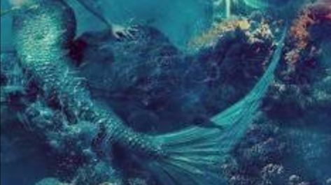 Blue Mermaid Aesthetic, Era Victoria, Greek Sea, Siren Mermaid, Mermaid Pictures, Mermaid Aesthetic, Parc D'attraction, Blue Mermaid, Mermaid Life