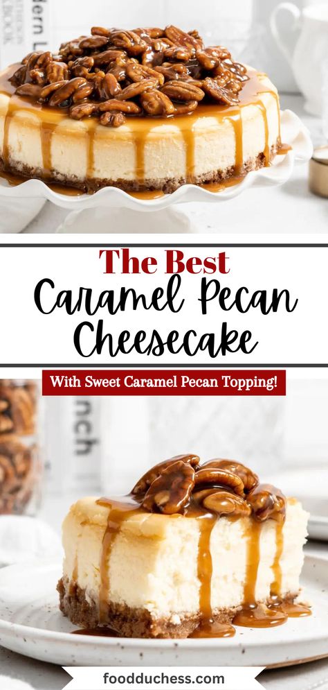 Maple Pecan Cheesecake, Pecan Sauce For Cheesecake, Praline Cheesecake Recipes, Pecan Cheesecake Topping, Caramel Cheesecake Topping, Pecan Topping For Cheesecake, Caramel Topping For Cheesecake, Salted Caramel Pecan Cheesecake, Pecan Praline Topping For Cheesecake