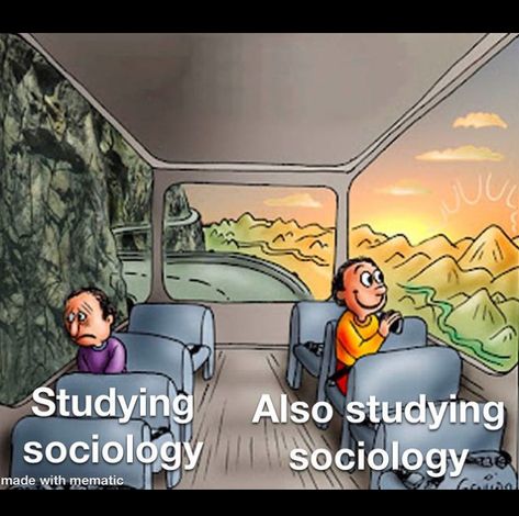 Sociology Memes (@SociologyMeme) / Twitter Where Is My Mind, Sociology, Psych, Geology, Philosophy, Brain, Poetry, Funny Memes, Reading