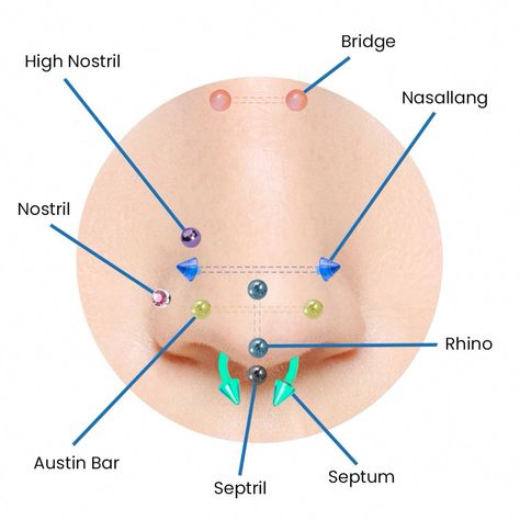 Different Types Of Nose Rings, Different Types Of Nose Piercings, Nose Piercing Guide, Nose Piercing Placement Chart, Nose Piercing Chart, Nose Piercing Names, Nose Piercing Types, Types Of Nose Piercings, Nose Piercing Placement