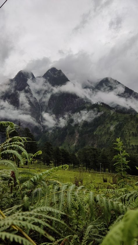 Arunachal Pradesh (Anjaw) Dong Valley Arunachal, Arunachal Pradesh Aesthetic, India Travel Places, Arunachal Pradesh, Northeast India, Goth Wallpaper, Beautiful Scenery Pictures, Scenery Pictures, Abstract Art Wallpaper