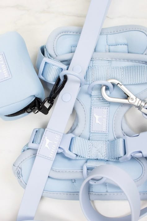 Parker & Co adjustable dog harness in colour sky Collar Aesthetic, Cute Dog Harness, Puppy Room, Dog Accesories, Dog Shock Collar, Harness Dog, Puppy Harness, Puppy Accessories, Cute Dog Collars