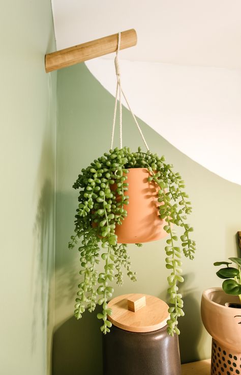 Plants hanging from plant hooks Wall Hook For Hanging Plant, Diy Wall Plant Hanger, Wall Hooks Ideas, Plant Wall Hanger, Fitness Corner, Wood Wall Hooks, Boho Style Room, Hanging Plants Diy, Bedroom Plan