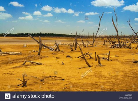 tree, desert, wasteland, hot, dry, dried up, barren, landscape Stock Photo, Royalty Free Image: 131233157 - Alamy Wasteland Landscape, Desert Wasteland, Barren Landscape, Dead Forest, Dead Tree, Bus Card, Landscape Scenery, Tree Forest, Game Inspiration