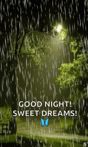 Rain Lights GIF - Rain Lights Park - Discover & Share GIFs Good Night Rainy Night Quotes, Rain Good Night Images, Rainy Goodnight Images, Good Night Beautiful Special Wishes Gif, Good Night Rainy Night Gif, Good Night Rainy Night, Rainy Good Night Images, Good Night Wishes Beautiful Gif, Rainy Night Gif