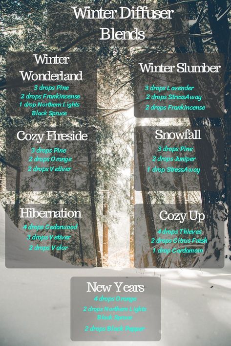 Winter Essential oil Diffuser blends - A Stray Kitchen Winter Essential Oil Blends, Christmas Diffuser Blends, Oils For Energy, Helichrysum Essential Oil, Essential Oils For Pain, Essential Oil Diffuser Blends Recipes, Essential Oil Diffuser Recipes, Oil Diffuser Recipes, Diffuser Recipes