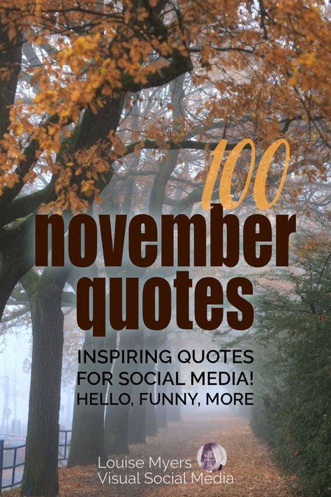 misty path lined with golden leafed trees says 100 november quotes to inspire on social media. Happy November Quotes Funny, November On Instagram, November Quotes Inspirational, November Memes Humor, November Sayings Quote, Funny November Quotes, November Inspirational Quotes, November Letterboard Quotes, Happy November Quotes