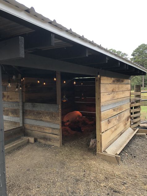 Small Barnyard Ideas, Outside Pig Pen Ideas, Pig Enclosure Ideas, Pig Farrowing House, Pig Wallow Ideas, Pig Stalls Ideas, Farm Sanctuary Ideas, Kune Kune Pig Pen, Pig Pens Ideas