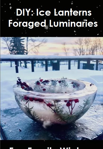 DIY ice lanterns. Fun winter project for the family on those really cold days. Foraged luminaries Diy Ice Lanterns, Diy Luminaries Outdoor, Ice Lanterns, Ice Candles Diy, Ice Globe Lanterns, Luminary Diy, Cooking Decor, Ice Candle, Candle Luminaries