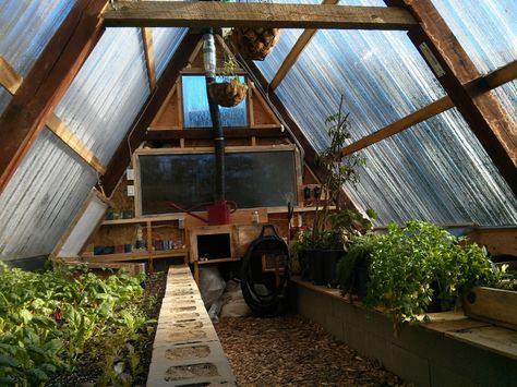 Timber Frame Swing Set Repurposed Into An Awesome Underground Greenhouse… | http://www.ecosnippets.com/gardening/swing-set-repurposed-into-underground-greenhouse/ Underground Greenhouse, Cheap Greenhouse, Aquaponics Greenhouse, Best Greenhouse, Green House Design, Backyard Swings, Indoor Greenhouse, Greenhouse Interiors, Home Greenhouse