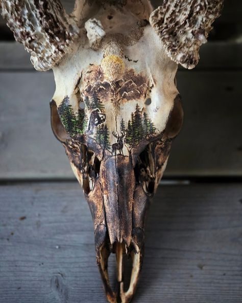 I can't believe my friend trusted me with this! 😱 I learned that burning on bone is an absolute bxtch! 🤣 #hunting # hunter #deerskull #skull #deerskullart #deerhunter #deerhunting #bowhunting #deerscene #huntingart #burning #pyro #pyrography #colwood #colwoodburner Deer Skulls Decorated, Bone Burning Art, Deer Skull Design, Hydro Dipped Deer Skull, Euro Skull Mount Ideas, Cow Skull Art Ideas, Painted Bison Skull, Painting On Deer Skull, European Deer Mount Ideas Girly