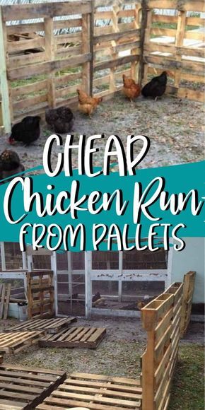 Coop Extension, Chicken Coop Extension, Pallet Chicken Coop, Building A Chicken Run, Cheap Chicken Coops, Chicken Coop Pallets, Easy Chicken Coop, Backyard Chicken Coop Plans, Chicken Pen