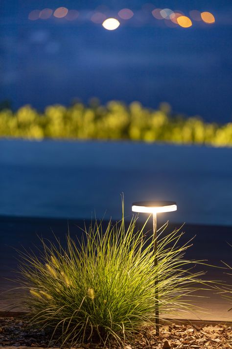 A family of bollards in three heights. Very simple design, the products Chiodo can be used both hidden inside the bushes, or in view. In the first case it highlights the lighting capacity, generating an intense light particularly suitable for scenic lighting of gardens or large vases with flowers and greenery. In the second case it can create magical compositions by using elements of different heights, such as small forests of pure light. Light Garden, Garden Lamp, Forest Lighting Design, Large Vase With Flowers, Landscape Path Lighting, Pathway Lighting Tree For An Event, Tree Up Lighting Landscape, Illuminated Pathway, Bollard Lighting Outdoor