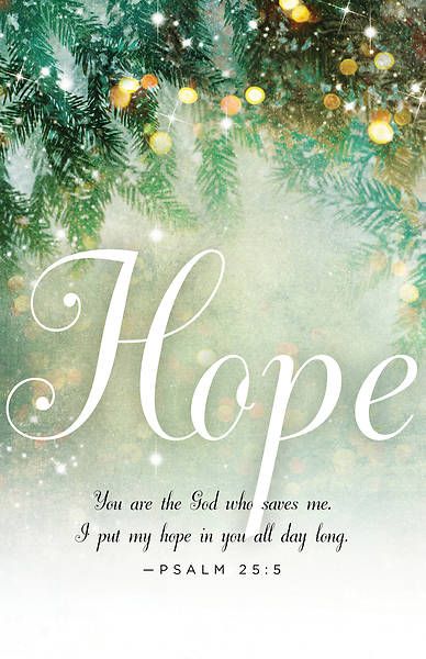 Hope Images, Christmas Verses, Christmas Scripture, Psalm 25, Merry Christmas Quotes, Christmas Bible, Bible Promises, Merry Christmas Images, Merry Christmas Wishes