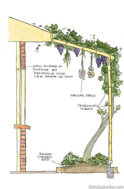 Shade Design, Permaculture Gardening, Permaculture Design, Earthship, Food Garden, Veggie Garden, Edible Garden, Raised Garden Beds, Raised Garden