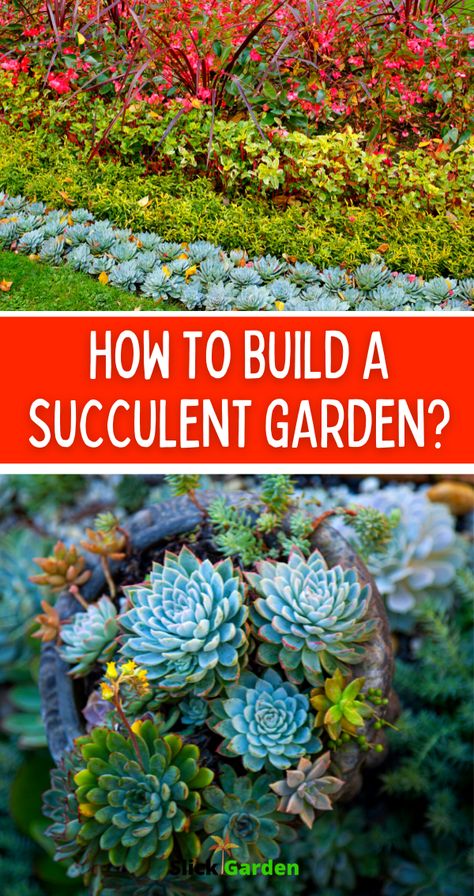 How To Build A Succulent Garden? A succulent garden is an effortless garden that you can build easily. Succulents add beauty to your backyard. The texture and colors of these water-storing plants change the view of your landscape. You can use succulents as a ground cover in your backyard garden. Large Succulent Garden, Succulent Garden Bed Ideas, Succulent And Flower Garden, Succulent Raised Garden Bed, Succulent Landscape Design Backyards, Planting Succulents Outdoors In Ground, Succulent Garden Design Outdoors, Succulent Garden Bed, Succulent Rock Garden Landscaping