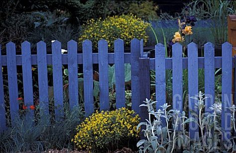 Blue Picket Fence, Blue Fence, Easter House, Garden World, Picket Fences, Dream Beach Houses, Front Yard Fence, Farm Fence, World Images