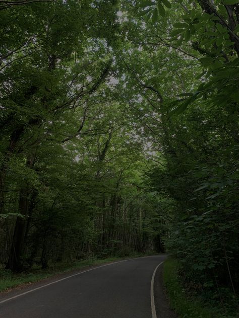 Road Forest Aesthetic, Forest Road Trip Aesthetic, Dark Forest Road Aesthetic, Pretty Green Forest, Green Running Aesthetic, Road Through Forest, American Forest Aesthetic, Aesthetic Pictures Forest, Rainy Forest Road