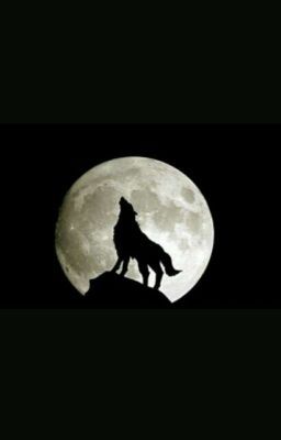 I just published "Chapter 3" of my story "My Mate". Howling At The Moon, Full Moon, The Moon, Moon, Iphone