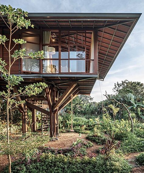 Extension Inspiration, House On Stilts, Tree House Designs, John Pawson, Renzo Piano, Modern Tropical, Stilts, Cultural Center, Good House