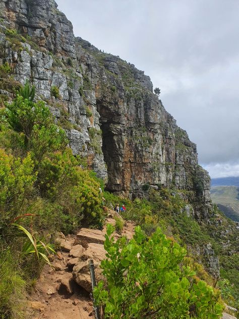 Elephant's Eye hiking trail in Cape Town Elephant Eye, Hiking Trail, Cape Town, Hiking Trails, Grand Canyon, Cape, Elephant, Hiking, Natural Landmarks