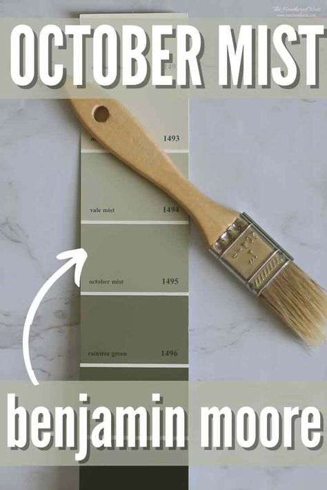 Benjamin Moore October Mist is a mid-toned warm sage green. Explore BM 1495, undertones, and color pairings + see pics in 16 homes! #paint #home #homedecor #paintcolor #paintstudy #paintreview #octobermist #benjaminmoore #sagegreen Sherwin Williams Aesthetic, Sherwin Williams Aesthetic White, Benjamin Moore Nimbus, Williams Aesthetic, October Mist, Benjamin Moore Green, Neutral Gray Paint, Sage Green Paint Color, Olive Green Paints