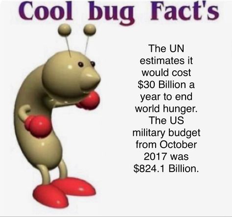 Cool Bug Facts, Bug Facts, Disgusting Humor, Cool Bugs, Bug Art, Bad Memes, Text Jokes, Pinterest Photos, Some Funny Jokes