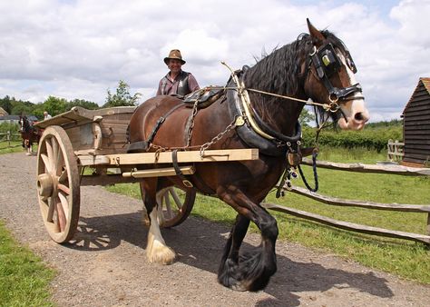 Horse & Cart..Dad used to have two show Cart Horses..He won many rosettes. Divine Creatures, Market Cart, Farm Wagons, Country Views, Horse Cart, Open Air Museum, Medieval Market, Wagon Wheels, Shire Horse