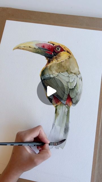 Polina Bright on Instagram: "Saffron toucanet ✨ #watercolorpainting #painting #watercolor #art #artist #aquarelle" Watercolor Painting Videos, Watercolor Art Birds, Bird Painting Tutorial, Watercolor Birds Paintings, Watercolor Animal Paintings, Polina Bright, Bird Watercolor Art, Watercolour Bird, Watercolor Painting Tutorial