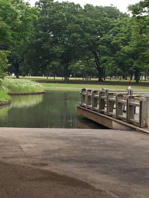 Yoyogi Park, Tokyo. Visit the post for more. Tokyo Visit, Japanese Places, Yoyogi Park, Late Bloomer, Happy Memories, Kyoto, Tokyo, Quick Saves