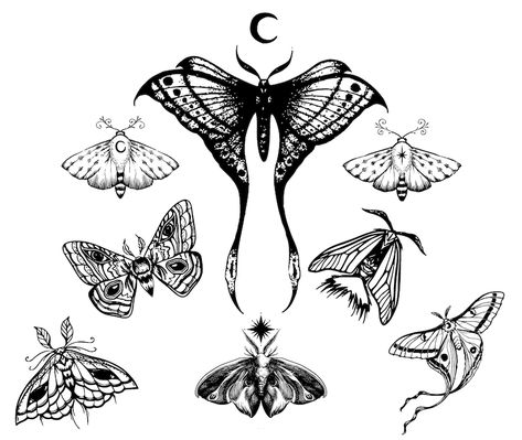 Moth Clipart, Lunar Moth Tattoo, Lunar Moth, Moon Moth, Moth Tattoo, Cute Little Tattoos, Luna Moth, Dainty Tattoos, Little Tattoos