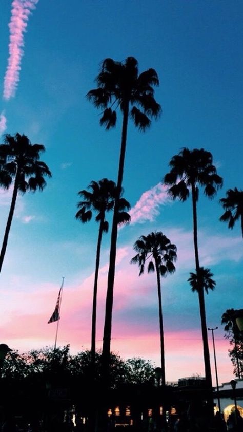 California Iphone Wallpaper, Palm Tree Iphone Wallpaper, 2014 Tumblr Aesthetic, Tumblr Girly Aesthetic, Dating Etiquette, Tumblr Girly Aesthetic 2013, Sf Wallpaper, Tumblr Summer, 2014 Aesthetic