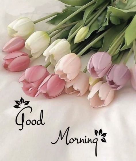 Gud Morning Images, Good Morning Posters, Good Morning Greeting Cards, Cute Good Morning Images, Good Morning Inspiration, Good Morning Nature, Good Morning Flowers Quotes, Good Morning Beautiful Flowers, Good Morning Flowers Pictures