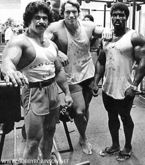 Arnold Bodybuilding, Old Bodybuilder, Arnold Schwarzenegger Bodybuilding, Best Bodybuilder, Frank Zane, Aesthetics Bodybuilding, Schwarzenegger Bodybuilding, Patrick Schwarzenegger, Bodybuilding Pictures