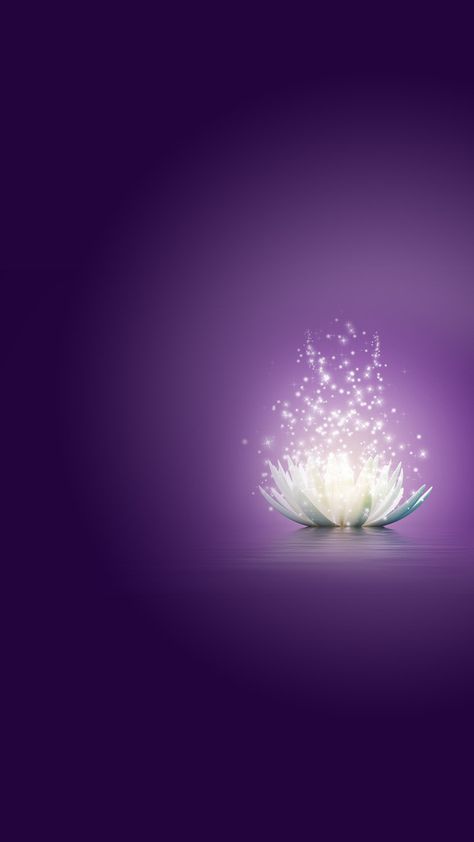 White lotus h5 luminous purple background White Light Background, Lotus Background, Feather Magic, Lotus Lantern, Purple Background Images, Lotus Wallpaper, Purple Lotus, Bee Clipart, Water Background