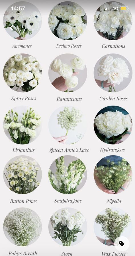 White Flower For Wedding, Names Of Wedding Flowers, Wedding Bouquets Flowers Types, Wedding Greenery Types, Different Types Of Bridal Bouquets, Type Of Flowers For Wedding, Names Of Flowers In Bouquets, Flower Guide Wedding, Different Types Of White Flowers