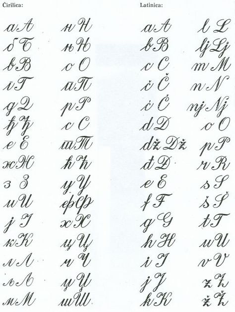 Serbian Cyrillic and Latin alphabets. Should have seen me "trying" to translate! Latin Letters, Serbian Language, Cyrillic Alphabet, Latin Alphabet, Russian Alphabet, Pretty Handwriting, Learn Japanese Words, Handwriting Alphabet, Writing Systems