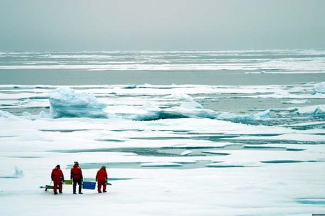 Arctic Explorers, Arctic Ice, Pineal Gland, Theatre Poster, Scientists, Polar Bear, Indonesia, Science, Natural Landmarks